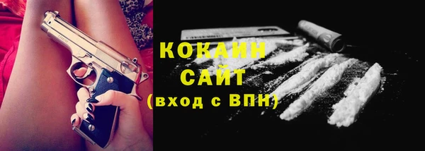твердый Аркадак